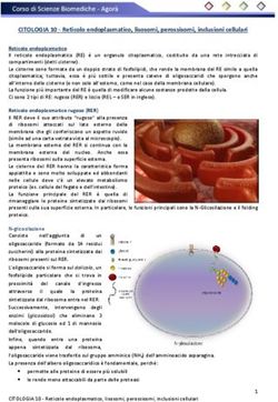 CITOLOGIA 10 - Reticolo endoplasmatico, lisosomi, perossisomi, inclusioni cellulari