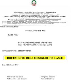 DOCUMENTO DEL CONSIGLIO DI CLASSE