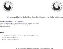 Struttura didattica delle Chen Bing Taiji Academy in Italia e Svizzera