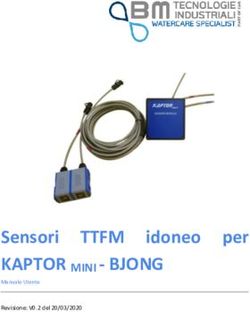 Sensori TTFM KAPTOR MINI - BJONG - idoneo per - BM ...