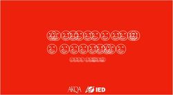 INFLUENCER MARKETING REPORT 2019 - Ied