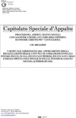 Capitolato Speciale d'Appalto - PROCEDURA APERTA SOTTO SOGLIA
