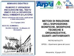 METODI DI RIDUZIONE DELL'ESPOSIZIONE: BONIFICHE, MODIFICHE TECNICHE E ORGANIZZATIVE, GUANTI ANTIVIBRANTI - PIETRO NATALETTI - Arpa Piemonte
