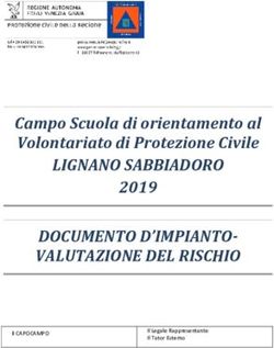 LIGNANO SABBIADORO DOCUMENTO D'IMPIANTO-VALUTAZIONE DEL RISCHIO - Campo Scuola di orientamento al Volontariato di Protezione Civile 2019