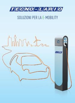 Soluzioni per lA e-mobilitY - Tecno-Lario