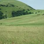 Le Foreste e la Rete Rurale Nazionale - Seminario Amministrazioni Centrali Raoul Romano Antonio Pepe - Ministero dell'Ambiente