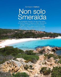 Non solo Smeralda - Delphina