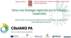 Verso una Strategia regionale per lo Sviluppo Sostenibile - Elementi per accrescere la resilienza di un territorio e ricostruzione sostenibile ...