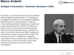 Marco Anderle Strategist e Imprenditore - Slowmedia, Municipium, Walife - Scambi sul mercato