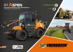 ILFILF - SEMOVENTI - MACCHINA DECESPUGLIATRICE PROFESSIONALE - Energreen maskiner