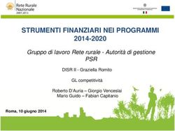 STRUMENTI FINANZIARI NEI PROGRAMMI - 2014-2020 PSR Gruppo di lavoro Rete rurale - Autorità di gestione - Rete Rurale ...