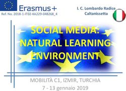 SOCIAL MEDIA: NATURAL LEARNING ENVIRONMENT - MOBILITÀ C1, IZMIR, TURCHIA 7 - 13 gennaio 2019