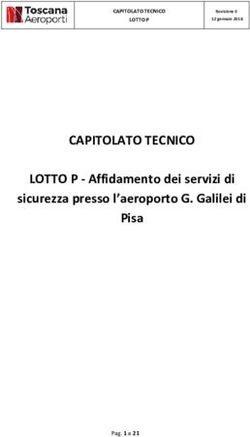 CAPITOLATO TECNICO LOTTO P - Affidamento dei servizi di sicurezza presso l'aeroporto G. Galilei di Pisa - Toscana Aeroporti