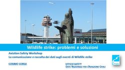 Wildlife strike: problemi e soluzioni