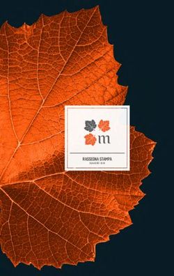 RASSEGNA STAMPA - Mondodelvino