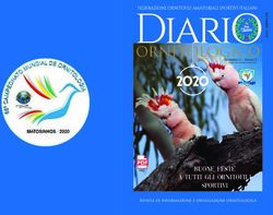 DiariO ORNITOLOGICO Numero 1 - Anno 1 - BUONE FESTE A TUTTI GLI ORNITOFILI SPORTIVI - FOASI