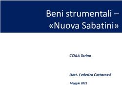 Beni Strumentali - "Nuova Sabatini" - CCIAA Torino Dott. Federico ...