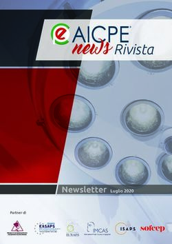 News Rivista - Luglio 2020 - AICPE