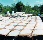 Un seul monde Eine Welt Un solo mondo - EDA