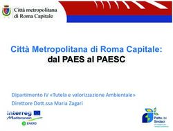 Citt&agrave; Metropolitana di Roma Capitale: dal PAES al PAESC - Dipartimento IV "Tutela e valorizzazione Ambientale" Direttore Dott.ssa Maria Zagari