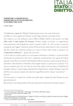 ESPORTARE LA DEMOCRAZIA, IMPORTARE LO STATO DI DIRITTO: IN EUROPA CHE SI FA?