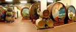 ARTE IN CANTINA LE BOTTI DIPINTE - Grupo Comit