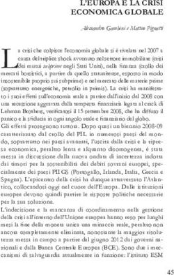 L'EUROPA E LA CRISI ECONOMICA GLOBALE - Difesa