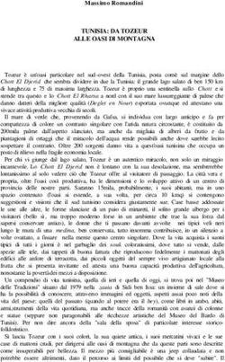 TUNISIA: DA TOZEUR ALLE OASI DI MONTAGNA