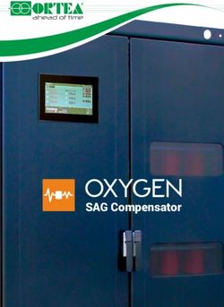 SAG COMPENSATOR - AHEAD OF TIME - ORTEA SPA