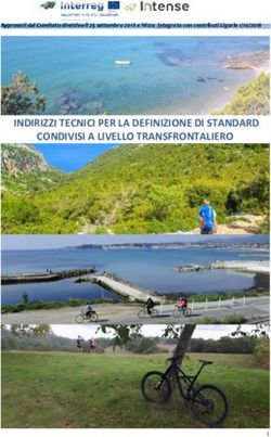 INDIRIZZI TECNICI PER LA DEFINIZIONE DI STANDARD CONDIVISI A LIVELLO TRANSFRONTALIERO