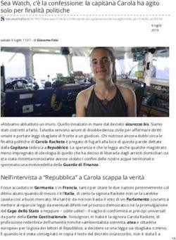 Sea Watch, c'è la confessione: la capitana Carola ha agito solo per finalità politiche - Blogaccio