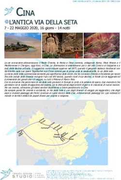 CINA - Travel Design Studio