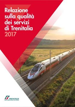 Relazione sulla qualit&agrave; dei servizi di trenitalia 2017