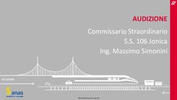 AUDIZIONE Commissario Straordinario S.S. 106 Jonica Ing. Massimo Simonini 02/12/2022 - Senato