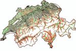 La metà del bosco svizzero è bosco di protezione