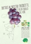 Convegno IL BUONO DEL BIO, Cia e Confagricoltura Treviso. Treviso, 29 Novembre 2016 Il mercato dei prodotti biologici nella grande distribuzione ...