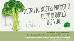 Convegno IL BUONO DEL BIO, Cia e Confagricoltura Treviso. Treviso, 29 Novembre 2016 Il mercato dei prodotti biologici nella grande distribuzione ...