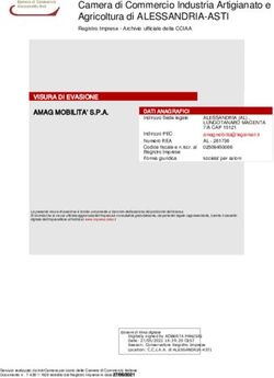 Camera di Commercio Industria Artigianato e Agricoltura di ALESSANDRIA-ASTI - Amag Mobilita