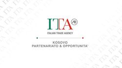 KOSOVO PARTENARIATO & OPPORTUNITA' - THE POWERPOINT PRESENTATION - Agenzia ICE