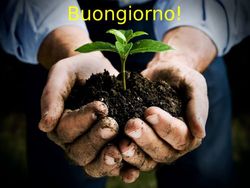 Buongiorno! - Hortus Urbis