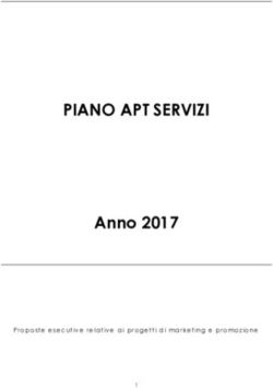 PIANO APT SERVIZI Anno 2017