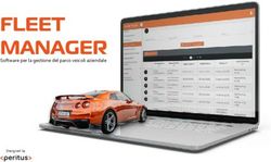 FLEET MANAGER Software per la gestione del parco veicoli aziendale - Designed by
