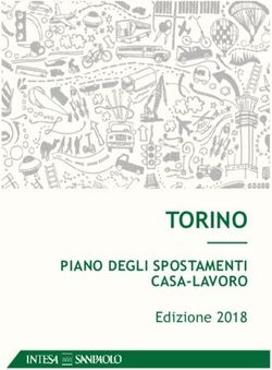 TORINO PIANO DEGLI SPOSTAMENTI CASA-LAVORO - Edizione 2018 - Intesa Sanpaolo