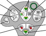 It - Istruzioni per l'uso AMAz
