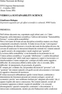 VERSO LA SUSTAINABILITY SCIENCE