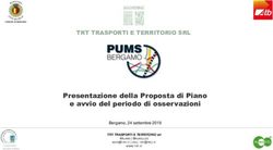 Presentazione della Proposta di Piano e avvio del periodo di osservazioni - TRT TRASPORTI E TERRITORIO SRL - Comune di Bergamo