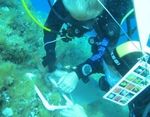 "Gradienti ambientali in habitat marini costieri" - 3 Stage di Biologia Marina e Subacquea Scientifica - Stazione ...