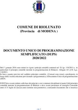 COMUNE DI RIOLUNATO - Comune ...