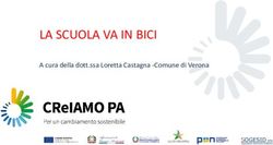 LA SCUOLA VA IN BICI A cura della dott.ssa Loretta Castagna -Comune di Verona - Ministero dell'Ambiente