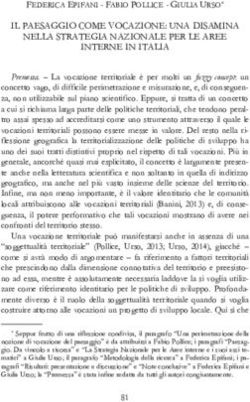 IL PAESAGGIO COME VOCAZIONE: UNA DISAMINA NELLA STRATEGIA NAZIONALE PER LE AREE INTERNE IN ITALIA - giulia urso* il paesaggio come vocazione